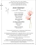 eine Anzeige