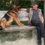 ein Bild aus dem Album